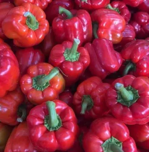 红椒